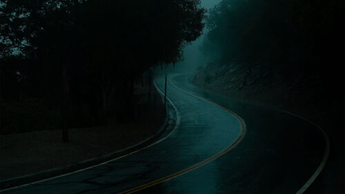 Road, Turn, Fog, HD Wallpapers Free Download