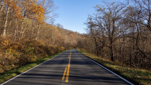 Road, Turn, Trees, HD Wallpapers Free Download (1)