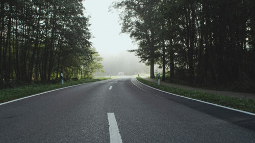 Road, Turn, Trees HD Wallpapers Free Download (2)