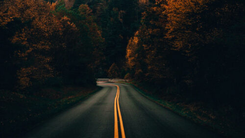 Road, Turn, Trees HD Wallpapers Free Download