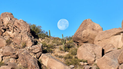 Rocks Cacti, Moon, HD Wallpapers Free Download