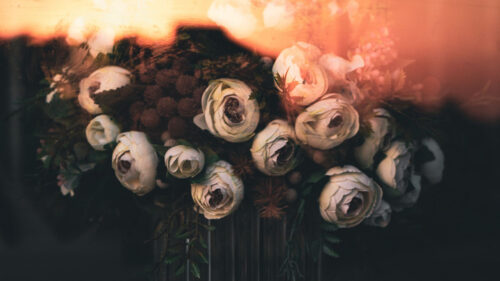 Roses, Flowers, Bouquet HD Wallpapers Free Download