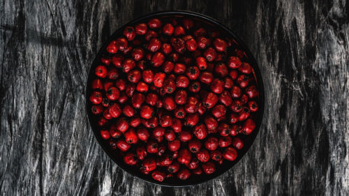 Rowan, Berries, Red HD Wallpapers Free Download
