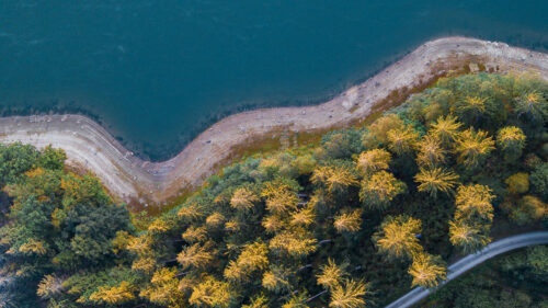 Shore, Forest, Water, HD Wallpapers Free Download