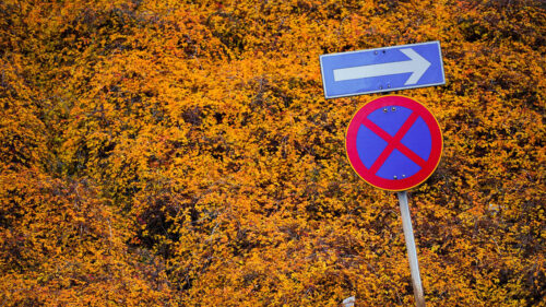 Sign, Prohibition, Arrow HD Wallpapers Free Download