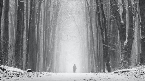 Silhouette, Alone, Snow HD Wallpapers Free Download