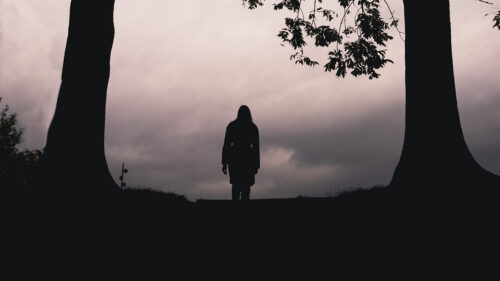 Silhouette, Loneliness, Trees HD Wallpapers Free Download