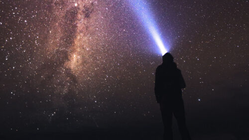 Silhouette, Night, Starry, Sky HD Wallpapers Free Download