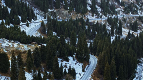 Slope, Road, Trees HD Wallpapers Free Download