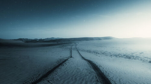 Snow, Field, Trail HD Wallpapers Free Download