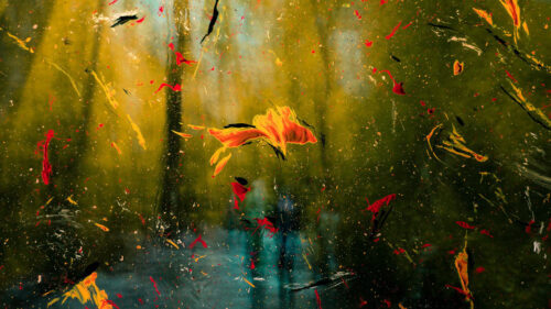 Stains, Paint, Glass HD Wallpapers Free Download (4)