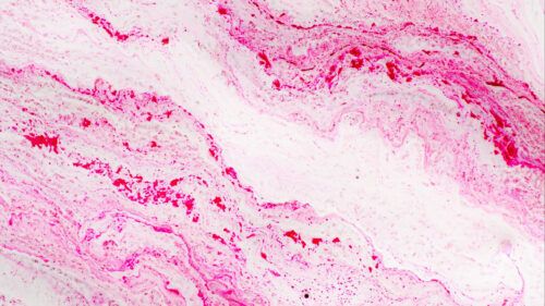 Stains, Paint, Liquid, HD Wallpapers Free Download (11)