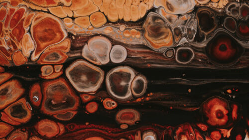 Stains, Paint, Liquid, HD Wallpapers Free Download (14)