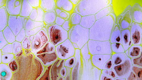 Stains, Paint, Liquid, HD Wallpapers Free Download (4)
