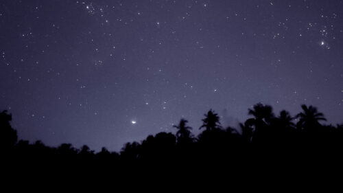 Starry, Sky, Trees, Outlines HD Wallpapers Free Download (1)