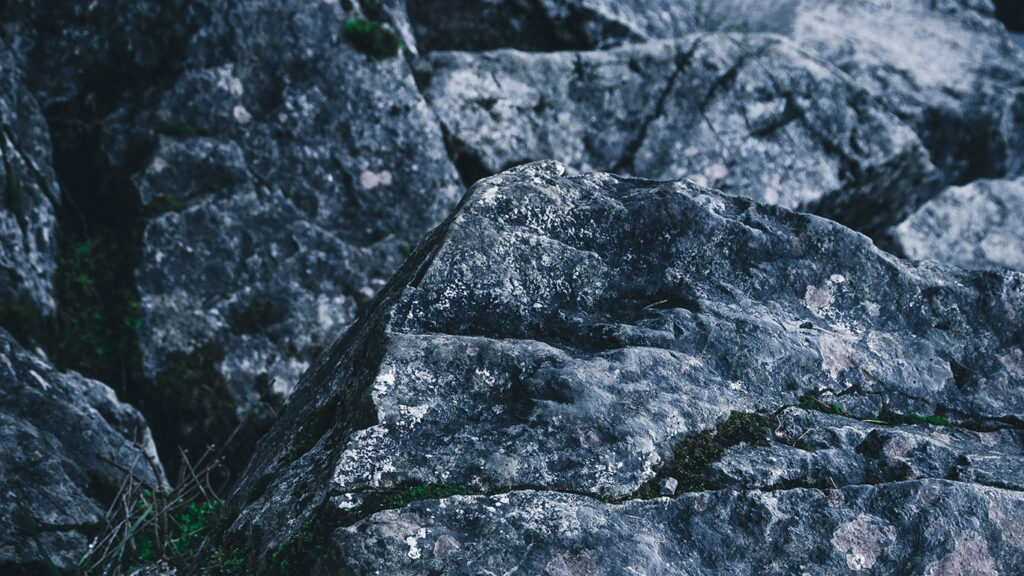 Previous
