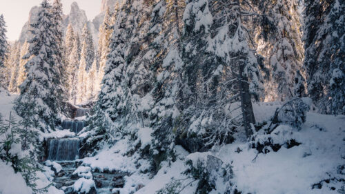 Stream, Trees, Snow HD Wallpapers Free Download