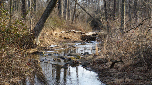 Stream, Water, Stones HD Wallpapers Free Download (2)