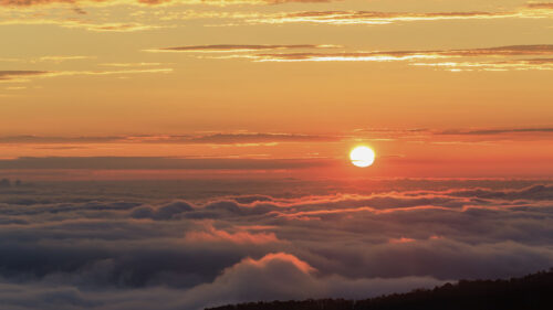 Sunset, Clouds, Horizon HD Wallpapers Free Download
