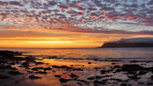 Sunset, Sea, Beach HD Wallpapers Free Download