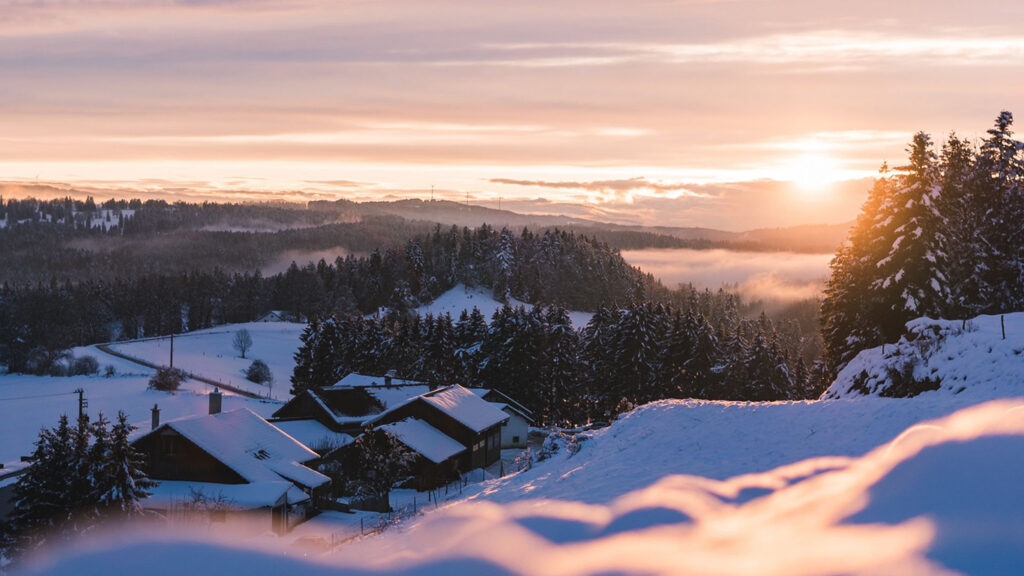Previous