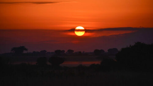 Sunset, Trees, Bushes Wallpapers Free Download