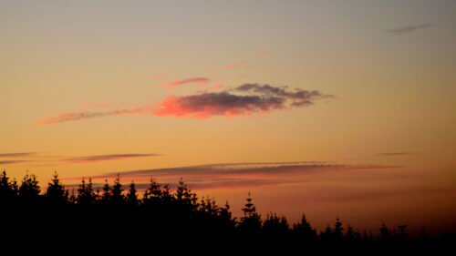 Sunset, Trees, Dusk Wallpapers Free Download