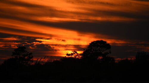 Sunset, Trees, Silhouettes Wallpapers Free Download
