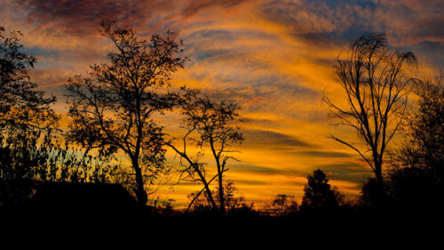 Sunset, Twilight, Trees Wallpapers Free Download
