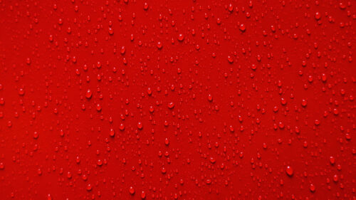 Surface ,Drops, Macro Wallpapers Free Download (1)