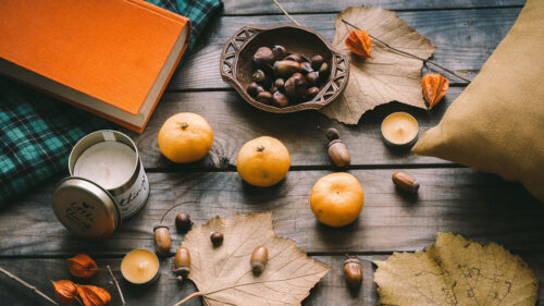 Tangerines, Acorns Wallpapers Free Download