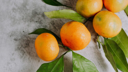 Tangerines, Fruits, Citrus Wallpapers Free Download (2)