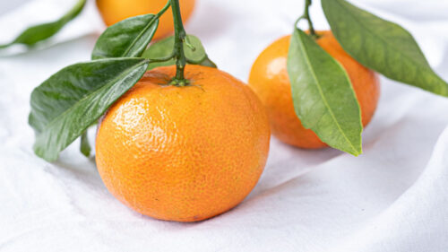 Tangerines, Fruits, Citrus Wallpapers Free Download (6)