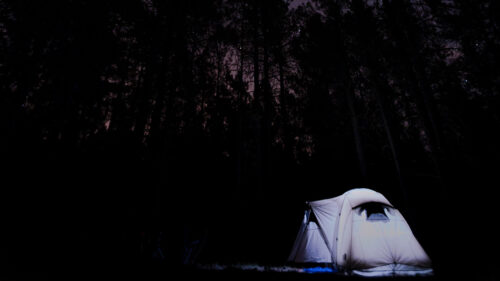 Tent, Starry, Sky, Trees Wallpapers Free Download