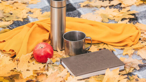 Thermos, Mug, Apple Wallpapers Free Download