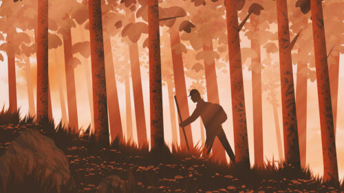 Traveler, Forest, Trees Wallpapers Free Download