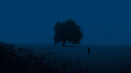 Tree, Man, Silhouette Wallpapers Free Download