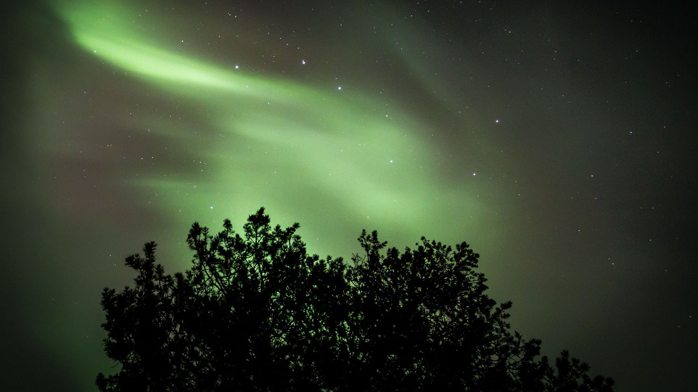 Tree, Northern, Lights, Starry, Sky Wallpapers Free Download - Desktop ...