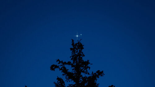 Tree, Silhouette, Stars Wallpapers Free Download