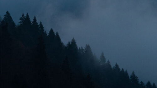 Trees, Clouds, Dusk Wallpapers Free Download