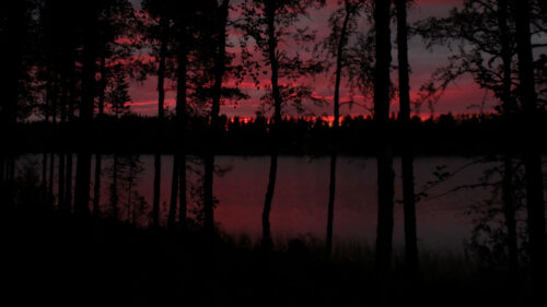 Trees, Lake, Dark Wallpapers Free Download
