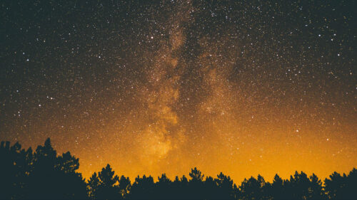 Trees, Silhouettes, Starry, Sky Wallpapers Free Download