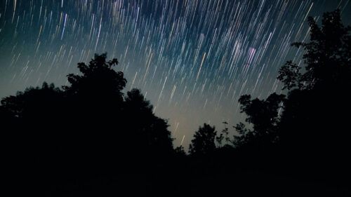 Trees, Starry, Sky, Long, Exposure Wallpapers Free Download