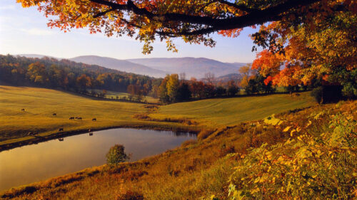 Vermont Wallpaper – Vermont Nature Wallpapers Free Download