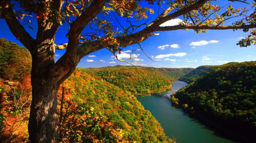 Virginia Wallpaper – Virginia Wallpapers Free Download For Your Desktop And Mac