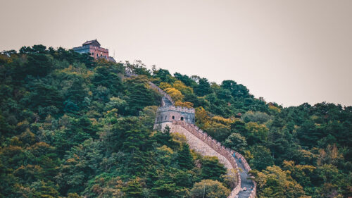 Wall, Forest, Hill Wallpapers Free Download