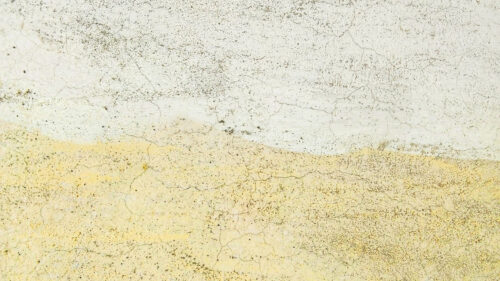 Wall, Surface, Paint, Wallpapers Free Download