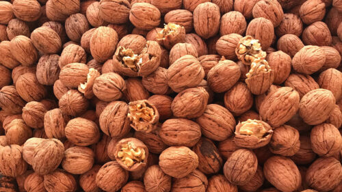 Walnut, Nuts, Brown Wallpapers Free Download