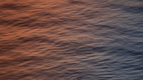 Water, Ripples, Surface Wallpapers Download (2)