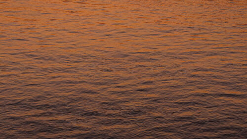Water, Waves, Surface Wallpapers Download